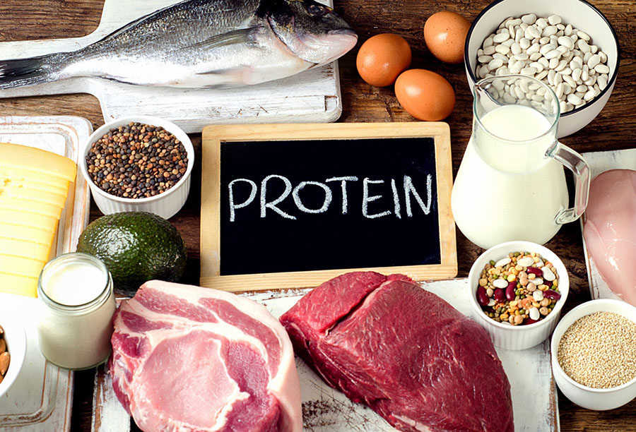 Thực phẩm bổ sung protein