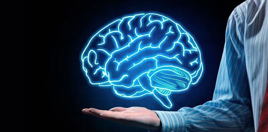 EGCG tăng cường sức khỏe não bộ