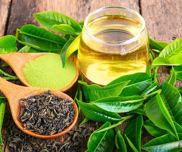 Cách bảo quản lá trà xanh tươi dùng được lâu